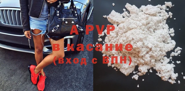 СК Семилуки