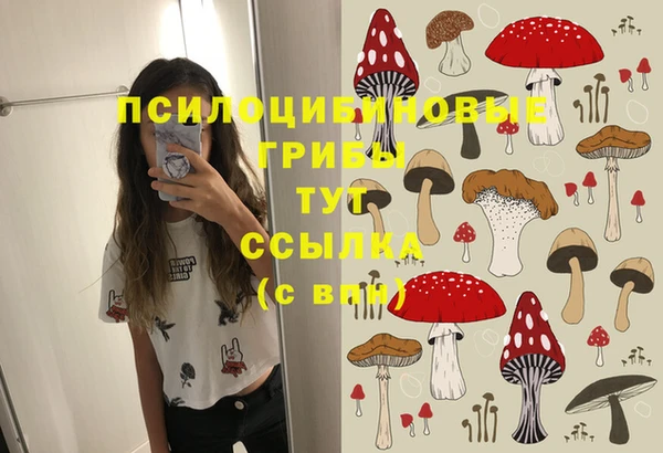 меф Саяногорск